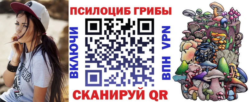 купить закладку Симферополь Псилоцибиновые грибы Psilocybine cubensis